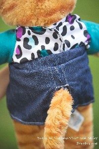 Bear Shirt and Skirt