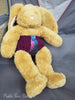 Bear Undies