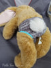 Bear Undies