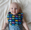 Burps N Bibs