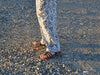 Lazy Days Pants and Scrubs