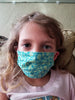 Pleated Pocket Face Mask