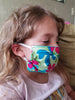 Pleated Pocket Face Mask