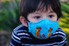 Flu Fighter Pocket Face Mask