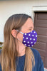 Flu Fighter Pocket Face Mask