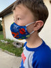 Flu Fighter Pocket Face Mask