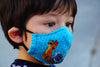 Flu Fighter Pocket Face Mask